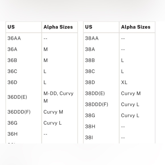 Victoria’s Secret Archives Rosette Corset Top - Picture 5 of 9